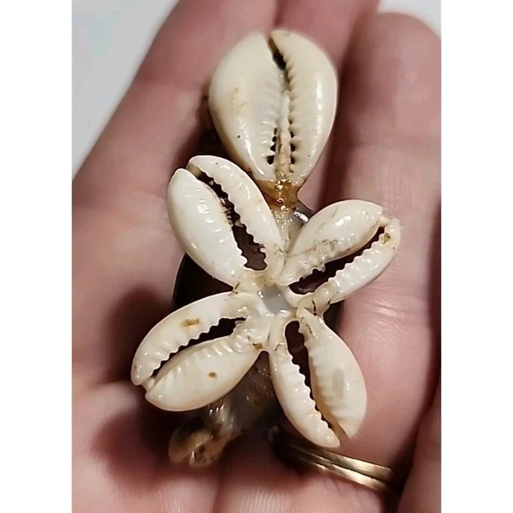 Vintage Cowry Sea Shell Turtle Tortoise Mini Figurine with Glasses and Hat Decor
